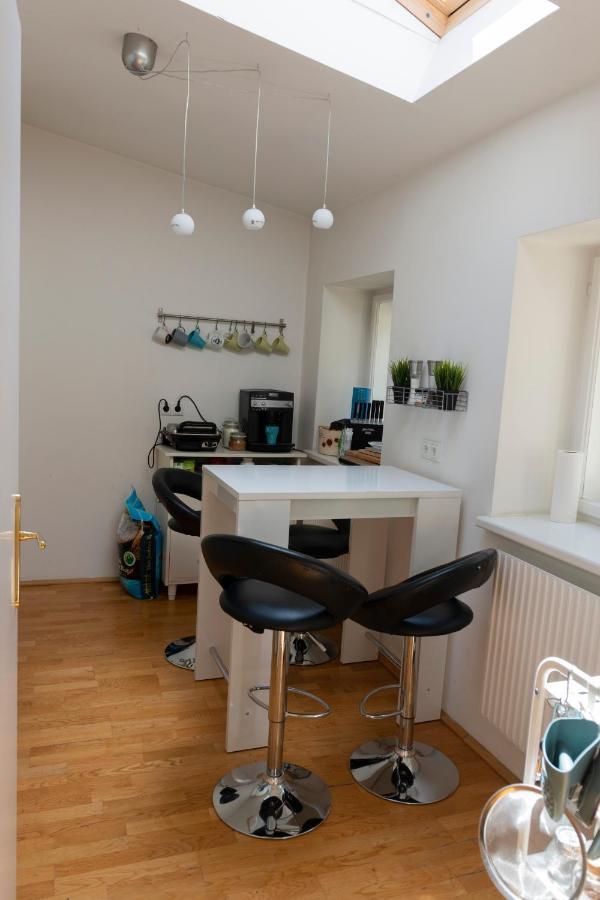 Leo'S Roof Top Apartment Near Town Hall Vienne Extérieur photo